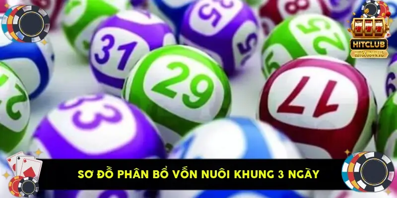 Sơ đồ phân bổ vốn nuôi khung 3 ngày